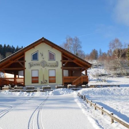 Le Chalet Du Bucheron Gérardmer Εξωτερικό φωτογραφία